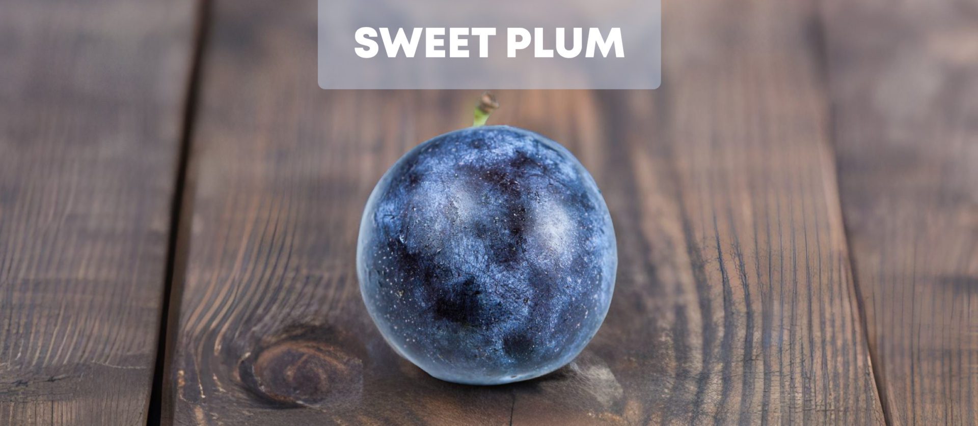 Text auf Bild schreiben | Text auf Foto online schreiben - 24AI