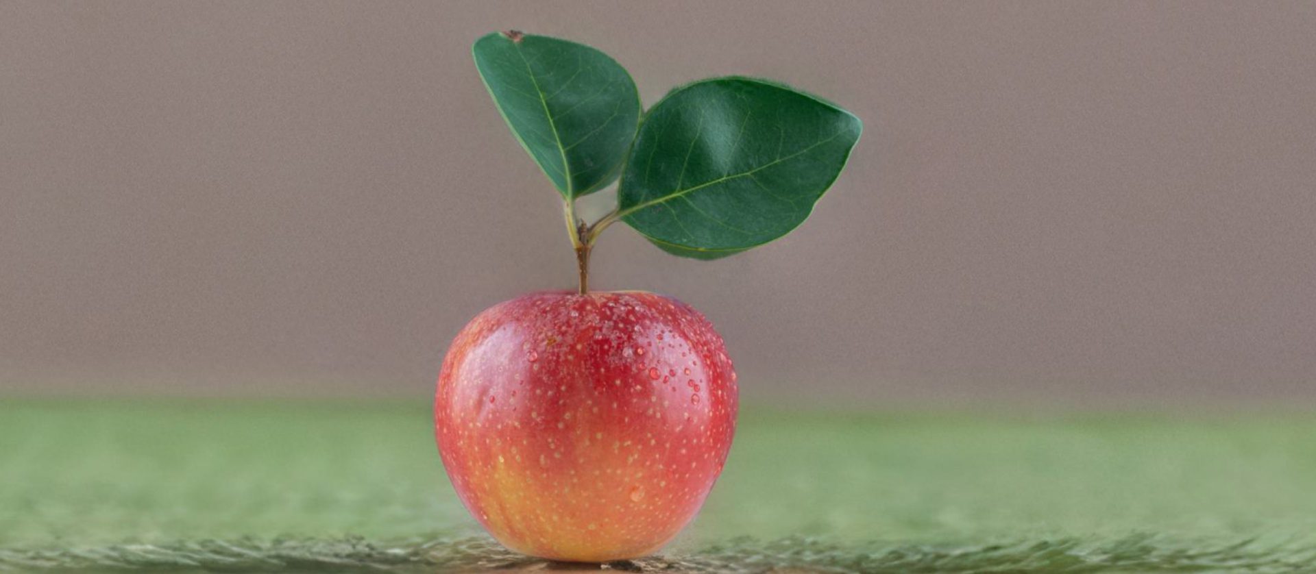 Lighten background on image Lighten background on photo online 24AI