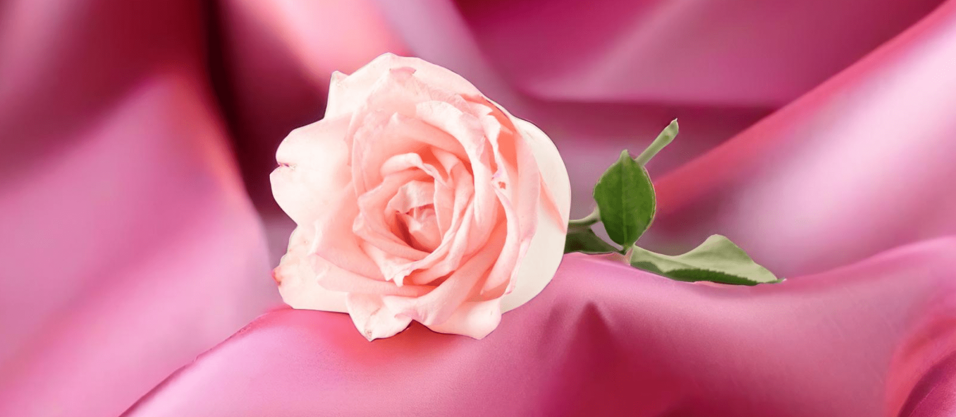 079 &#8211; 24AI — Faire un fond rose sur l&rsquo;image