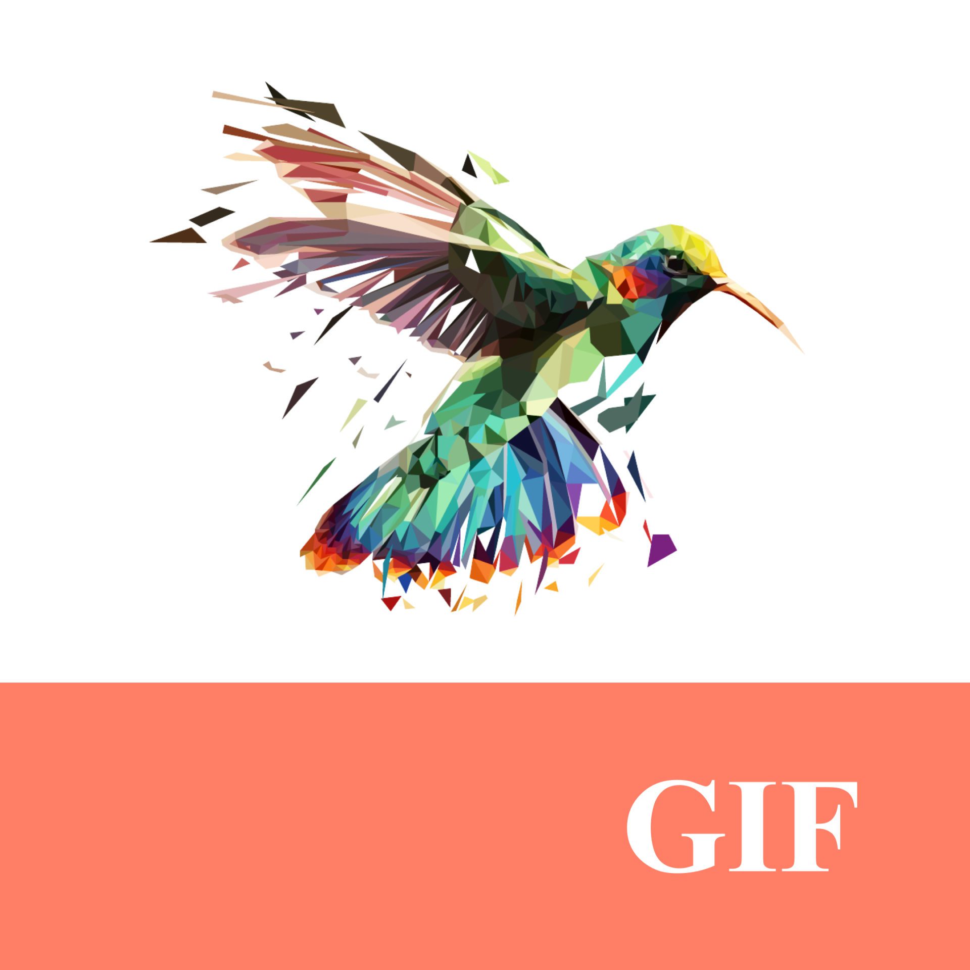 040 &#8211; 24AI – Convertir une image en GIF