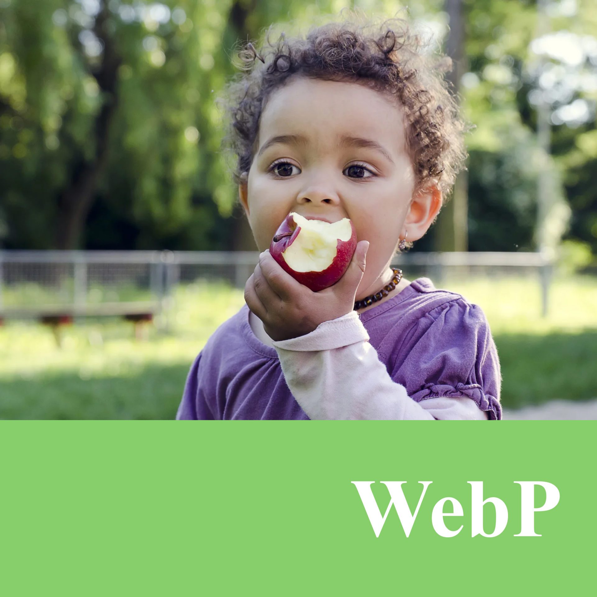 044 &#8211; 24AI – Convertir une image en WebP