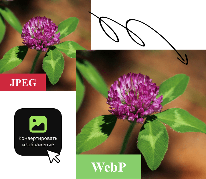 044 &#8211; 24AI – Convertir une image en WebP