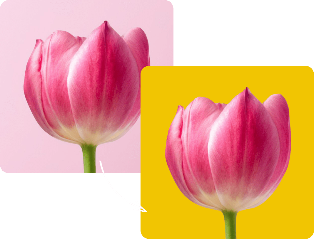 060 &#8211; 24AI – Make a yellow background on an image