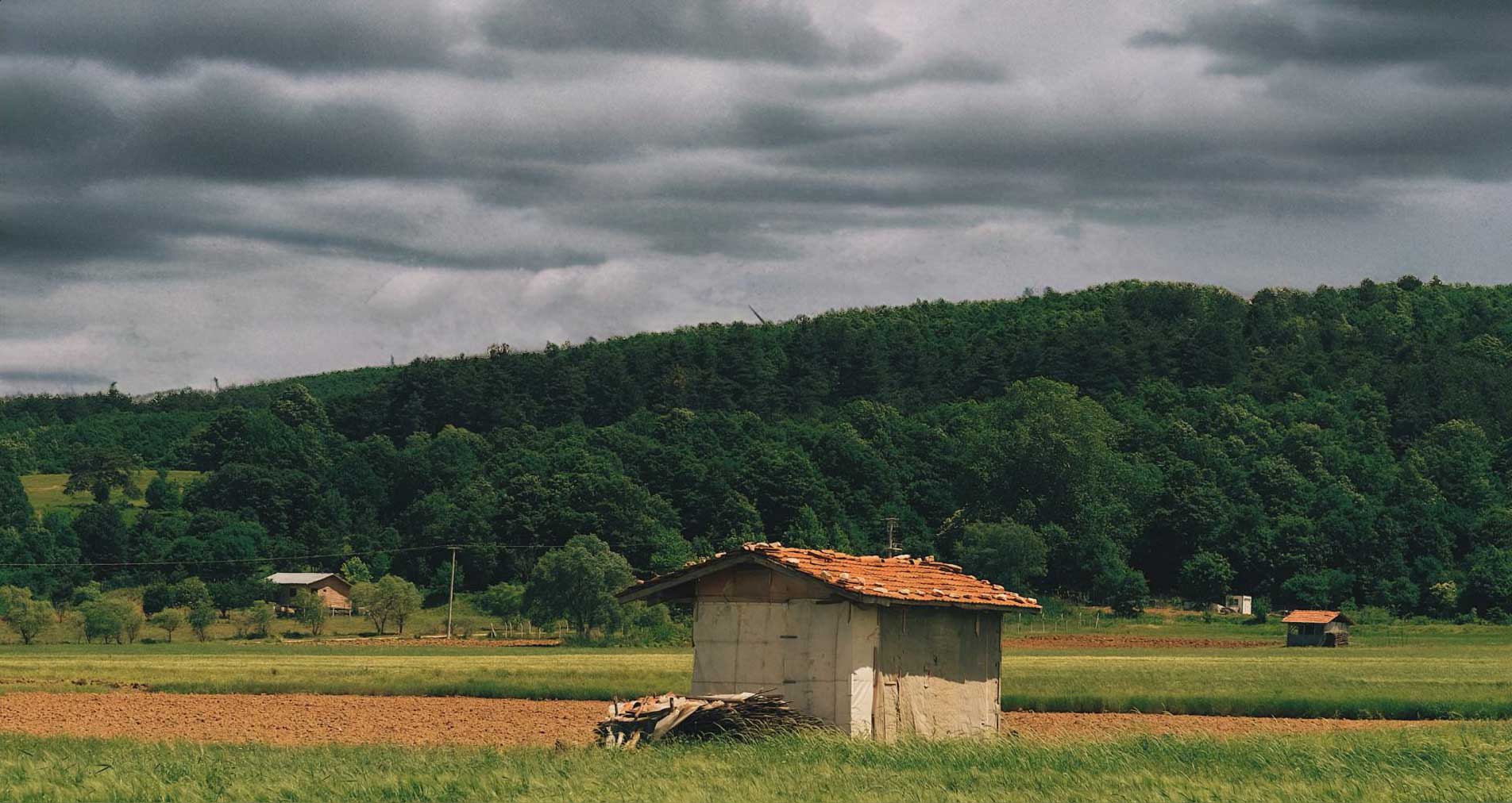 014 — 24AI — Заменить фон на фотографии