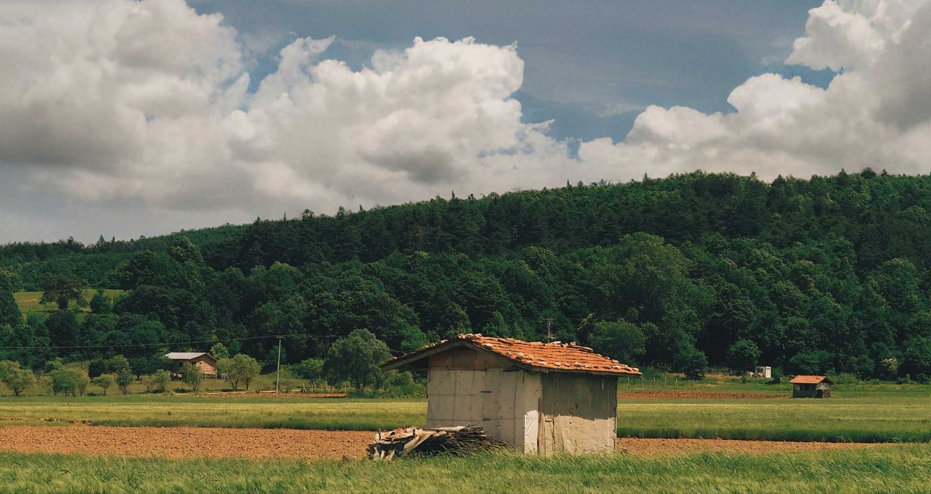 014 — 24AI — Заменить фон на фотографии