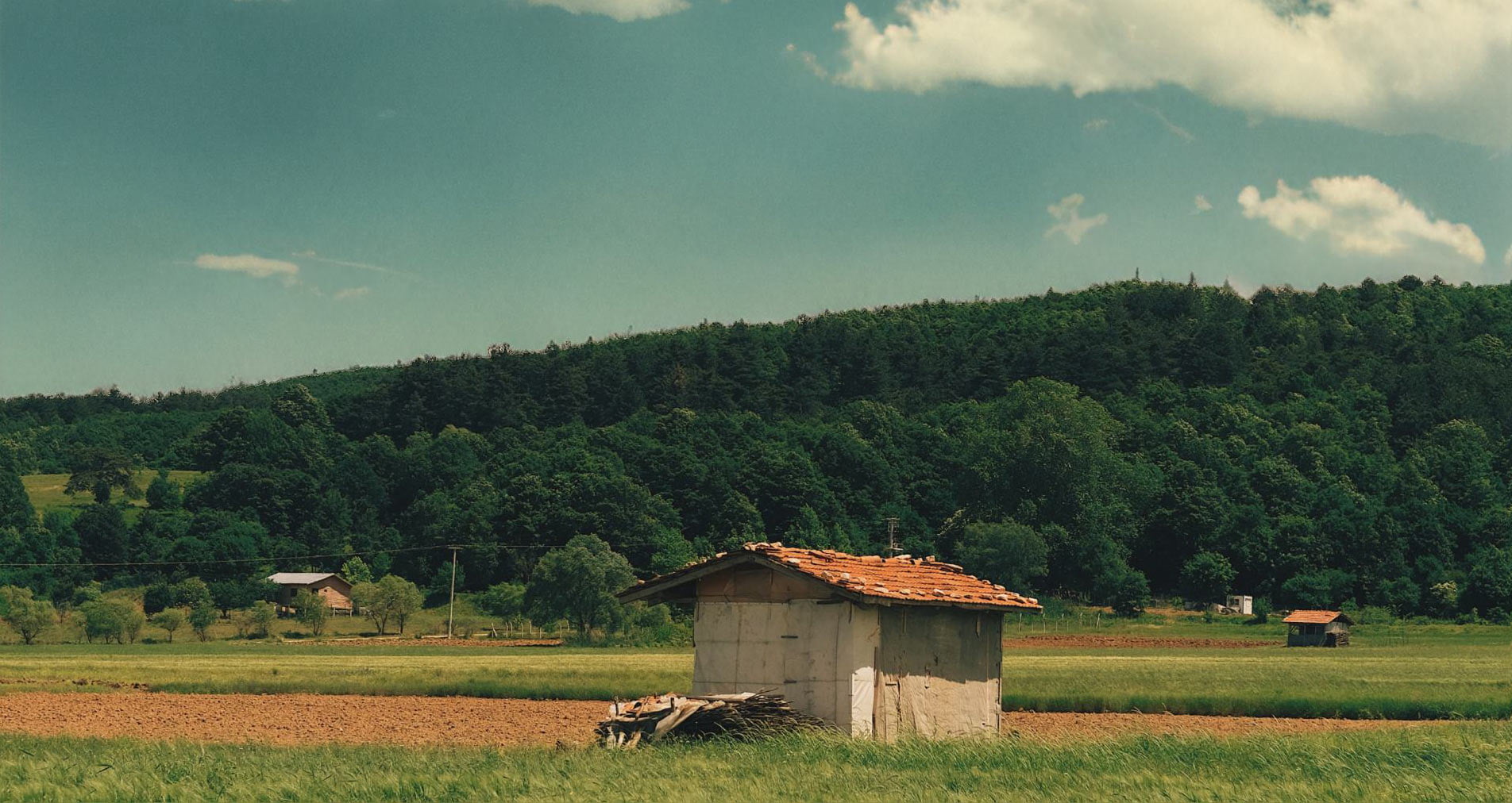 014 — 24AI — Заменить фон на фотографии