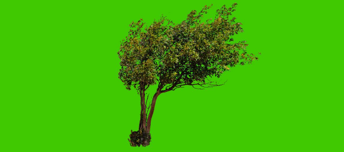 021 &#8211; 24AI — Make a green background on an image