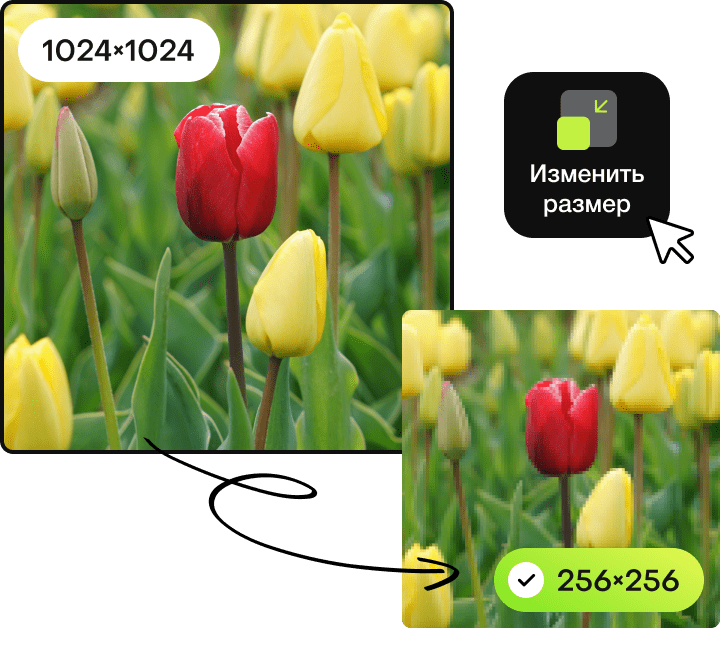 092 &#8211; 24AI – Reduce image size