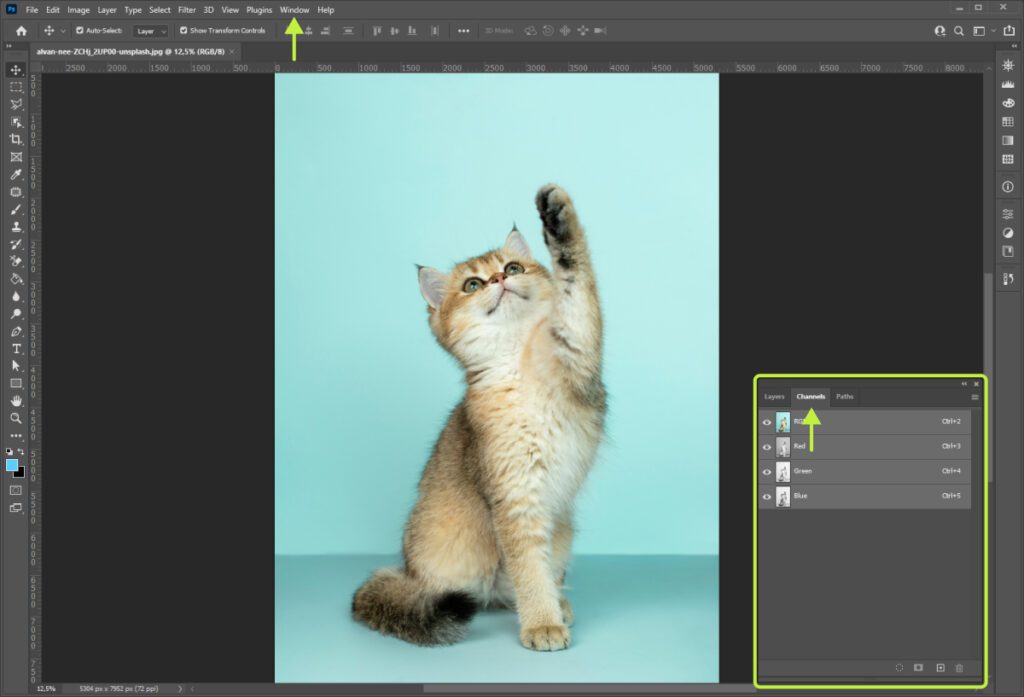 Как удалить фон в Adobe Photoshop