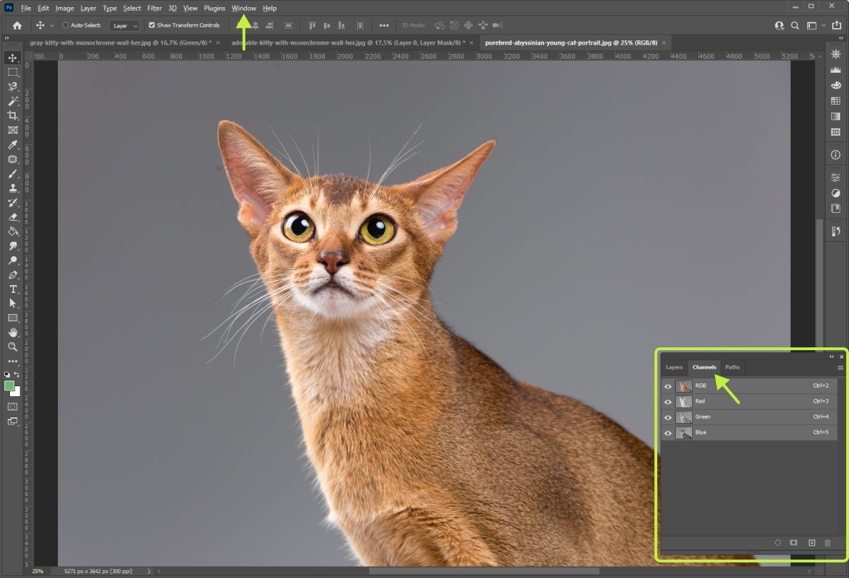 Как изменить фон в Adobe Photoshop