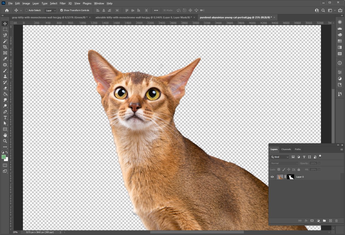 Как изменить фон в Adobe Photoshop