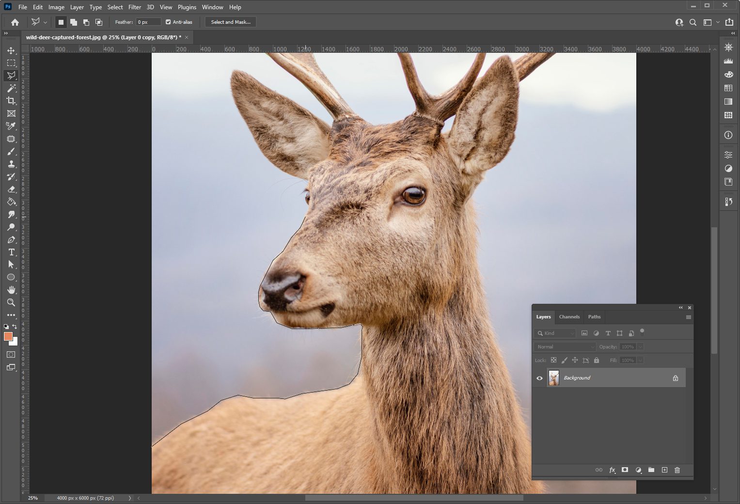 Как добавить новый фон в Adobe Photoshop